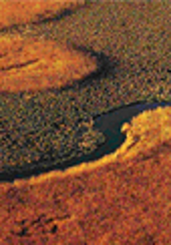 Jedna z prezentowanych na wystawie fotografii