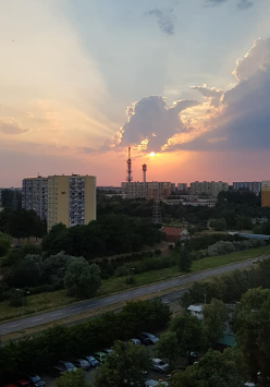 fot.M.Klonowska
