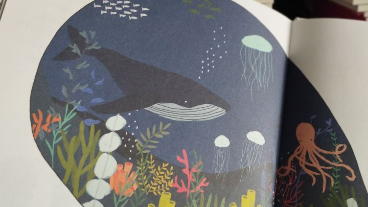 Na ilustracji widać podwodny świat - płynie wieloryb, ośmiornica, ławica rybek i meduza, na dnie rosną kolorowe rośliny.