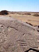 Wyspa na morzu piasków