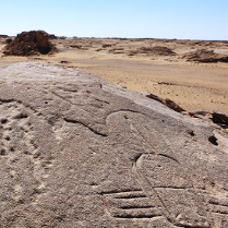 Wyspa na morzu piasków