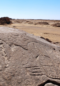 Wyspa na morzu piasków