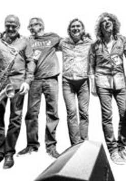 Członkowie zespołu