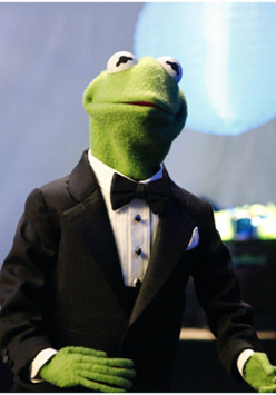 Pacynka żaba w smokingu dyryguje.