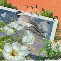 Ptaki. kwiaty, drzewa na pomarańczowym i niebieskim tle.