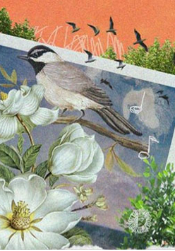 Ptaki. kwiaty, drzewa na pomarańczowym i niebieskim tle.