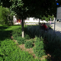 Fotograf Poznania
