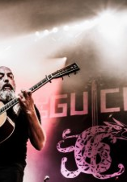 fotografia artysty podczas koncertu