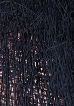 Utrzymana w ciemnych barwach fotografia splatanych gałązek wikliny bądź kabli, przez którą przebija się przyćmione światło.