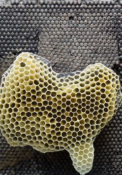 Jedna z prac z wystawy.