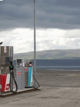 Kolorowa fotografia przedstawia stację paliw na tle otwartego krajobrazu. Na jednym z dystrybutorów siedzi ptak. Niebo zasnuwają szare chmury.