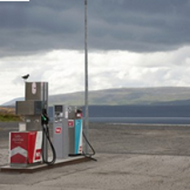 Kolorowa fotografia przedstawia stację paliw na tle otwartego krajobrazu. Na jednym z dystrybutorów siedzi ptak. Niebo zasnuwają szare chmury.