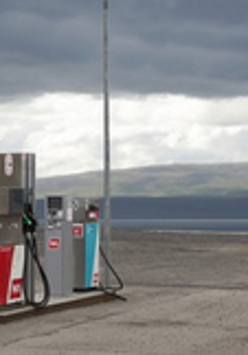 Kolorowa fotografia przedstawia stację paliw na tle otwartego krajobrazu. Na jednym z dystrybutorów siedzi ptak. Niebo zasnuwają szare chmury.