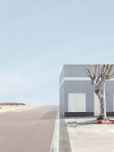 Fotografia Lauren Marsolier