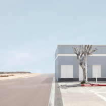 Fotografia Lauren Marsolier