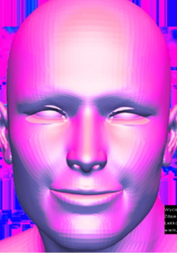 Franek Warzecha, fragm. pracy Romantyzm