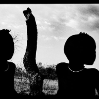 Gatunek zwierzęcia, którym jest człowiek