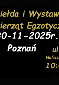 Zielony zwinięty wąż, informacje o Giełdzie i Wystawie Zwierząt Egzotycznych.