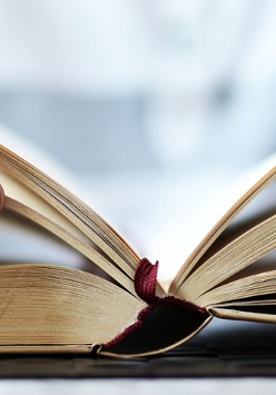 Dłonie trzymają otwartą książkę.