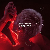 Na grafice okładka płyty Odnowa.