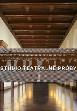 Zdjęcie zamkowego korytarza. W centralnym punkcie znak graficzny: STUDIO TEATRALNE PRÓBY.