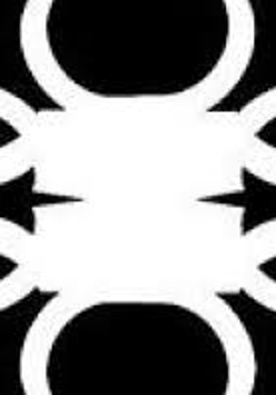 Na grafice logo klubu Meszkalina.