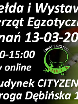 Nazwa oraz podstawowe informacje dotyczące wydarzenia; na środku grafika jaszczurki z napisem "ŚWIAT EGZOTYKI"