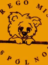 Na grafice logo fundacji Burego Misia.