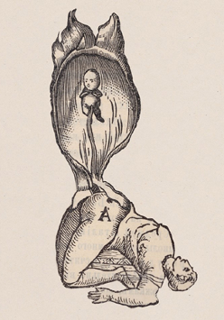 Jedna z prac artystki. Leżąca sylwetka ludzka i wychodzący z niej noworodek, połaczone pępowiną.