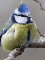 Na grafice plakat wydarzenia.