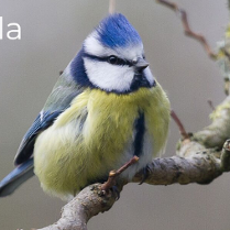 Na grafice plakat wydarzenia.