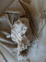 Na grafice plakat wydarzenia.