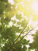 Na grafice plakat wydarzenia.