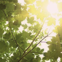 Na grafice plakat wydarzenia.