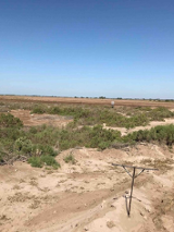 Na grafice plakat wydarzenia.