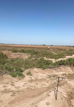 Na grafice plakat wydarzenia.