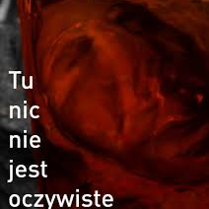 Na grafice plakat wydarzenia.