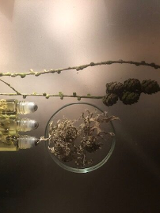 Na grafice plakat wydarzenia.