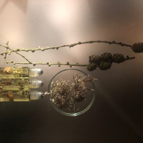 Na grafice plakat wydarzenia.