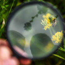 Na grafice plakat wydarzenia.