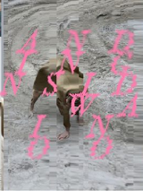 Na grafice plakat promujący wydarzenie.