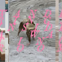 Na grafice plakat promujący wydarzenie.