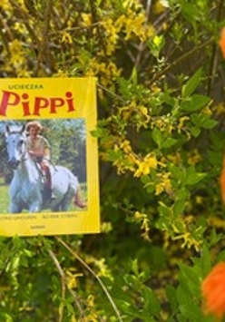 Na grafice plakat wydarzenia.