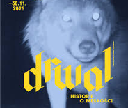 Grafika bazująca na nieostrej, prześwietlonej fotografii wilka. Zdjęcie w niebieskich barwach. Na nie nałożone żółte napisy: "6.09-30.11.2025, DRWAL, HISTORIE O MĘSKOŚCI, KURATOR: PRZEMYSŁAW JĘDROWSKI".