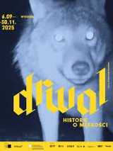 Grafika bazująca na nieostrej, prześwietlonej fotografii wilka. Zdjęcie w niebieskich barwach. Na nie nałożone żółte napisy: "6.09-30.11.2025, DRWAL, HISTORIE O MĘSKOŚCI, KURATOR: PRZEMYSŁAW JĘDROWSKI".