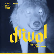 Grafika bazująca na nieostrej, prześwietlonej fotografii wilka. Zdjęcie w niebieskich barwach. Na nie nałożone żółte napisy: "6.09-30.11.2025, DRWAL, HISTORIE O MĘSKOŚCI, KURATOR: PRZEMYSŁAW JĘDROWSKI".