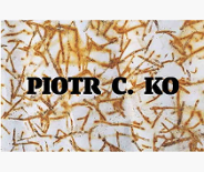 Na grafice plakat wydarzenia.