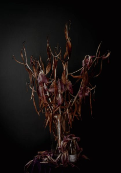 Na grafice plakat wydarzenia.