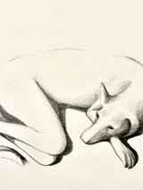 Na grafice jedna z prac na wystawie.