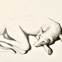 Na grafice jedna z prac na wystawie.